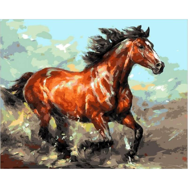 

Картина по номерам Наперегонки с ветром, 40x50 см., Mariposa