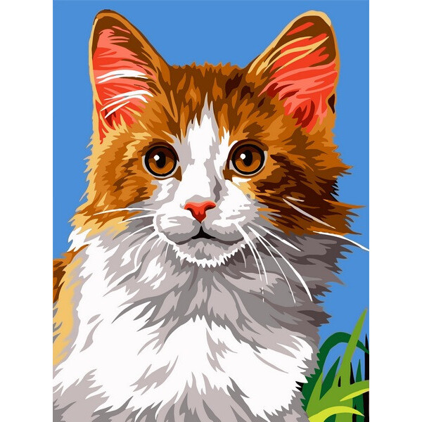 

Картина по номерам Домашний кот, 30x40 см., Babylon
