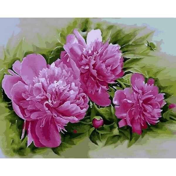 

Картина по номерам Пионы Розена Плена, 40x50 см., Mariposa