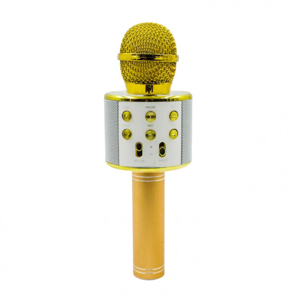 

Портативный караоке микрофон Wster WS-858 Золотистый (G101001221)