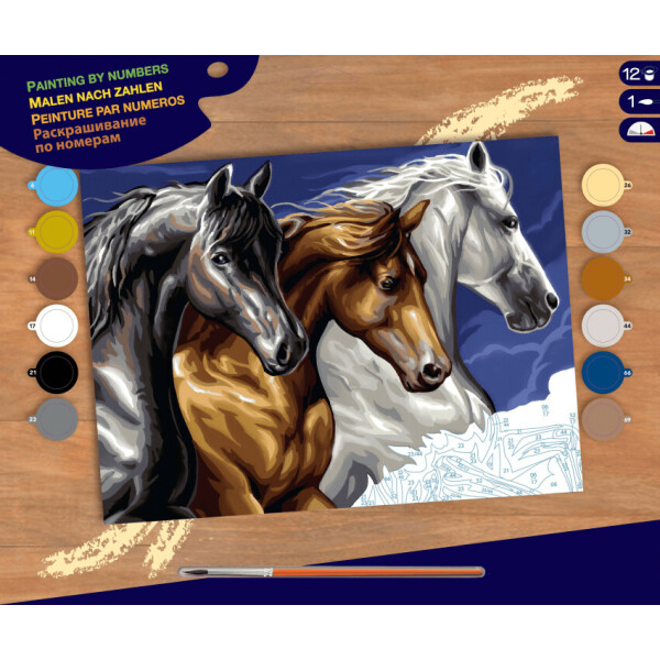 

Набор для творчества Sequin Art PAINTING BY NUMBERS SENIOR Wild Horses (SA1040)