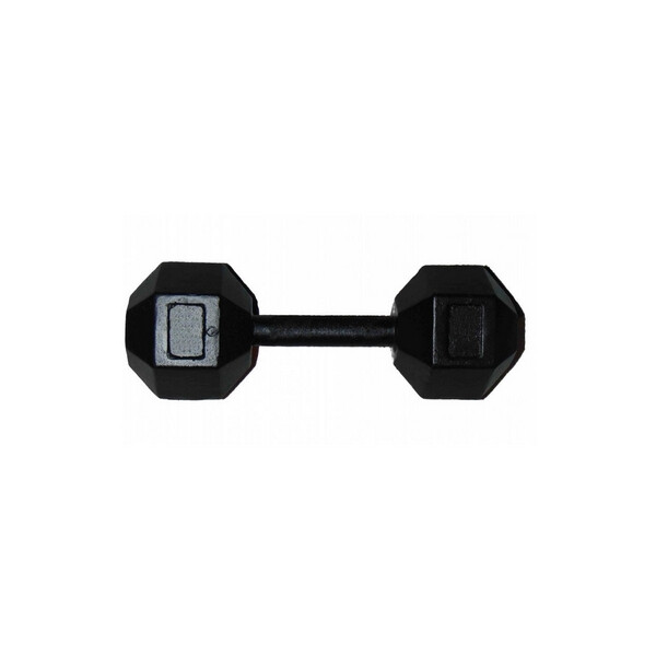 

Гантель профессиональная шестигранная Newt Profi 15 кг