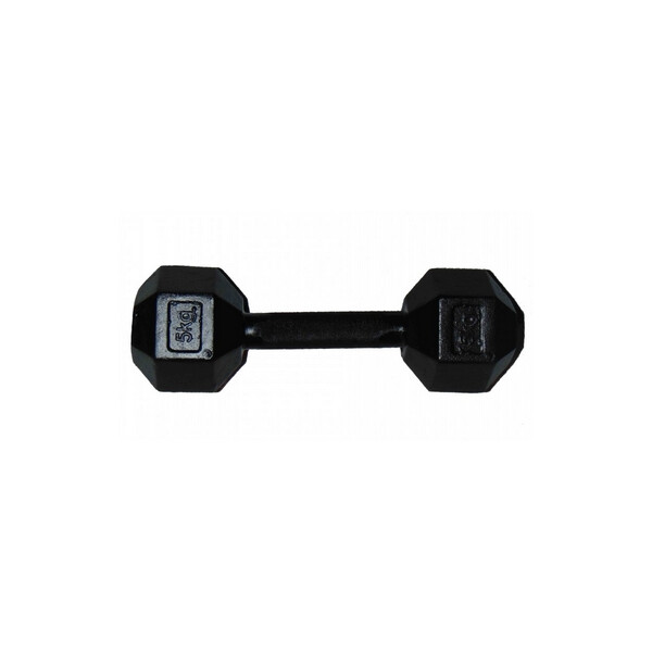 

Гантель профессиональная шестигранная Newt Profi 5 кг