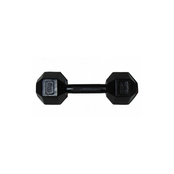

Гантель профессиональная шестигранная Newt Profi 6 кг
