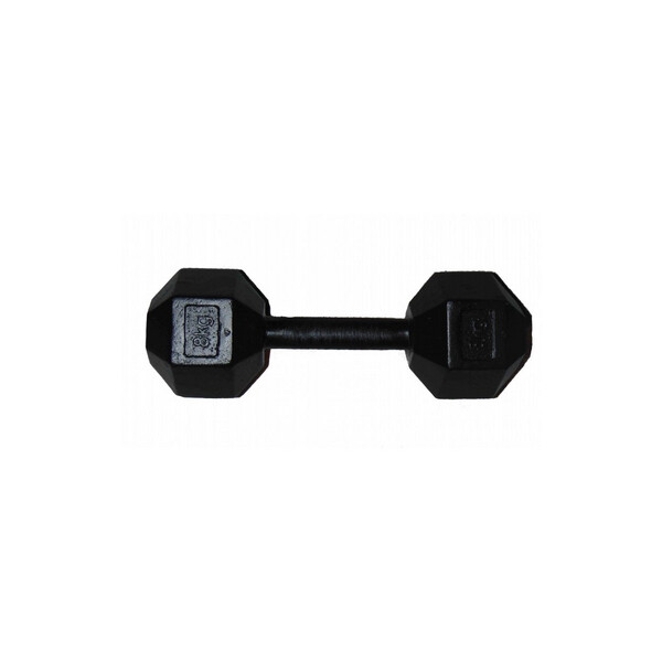 

Гантель профессиональная шестигранная Newt Profi 8 кг