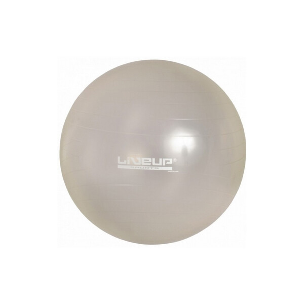 

Мяч для фитнеса (фитбол) 75 см Live Up Ani-burst серый