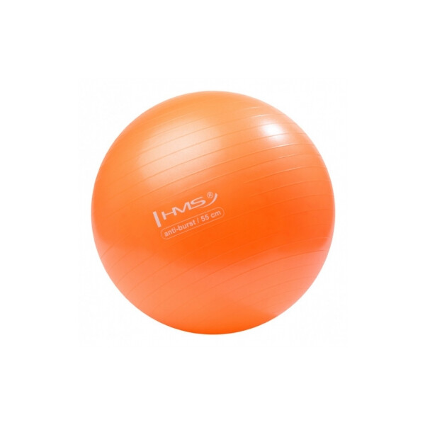 

Мяч для фитнеса (фитбол) HMS YB02 55 см Anti-Burst Orange