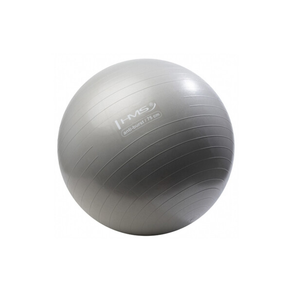 

Мяч для фитнеса (фитбол) HMS YB02 75 см Anti-Burst Silver