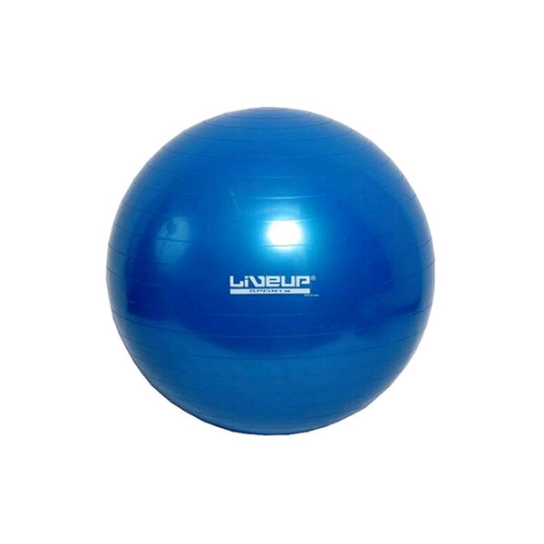

Мяч для фитнеса (Фитбол) Live UP Gym Ball 65