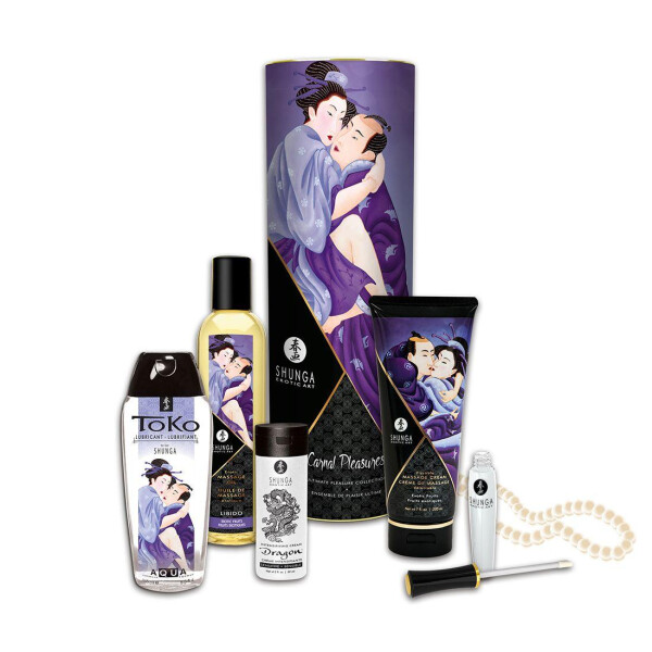 

Подарочный набор Shunga CARNAL PLEASURES (SO2561)