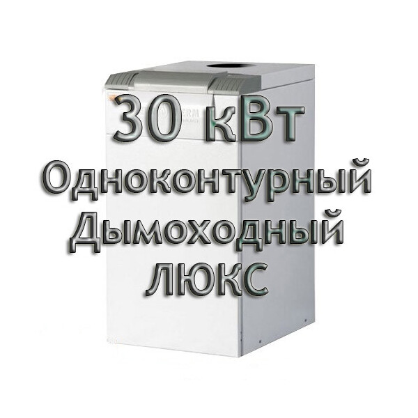 

Газовый котел дымоходный одноконтурный Колви Евротерм 20 TS A (CP А) ЛЮКС