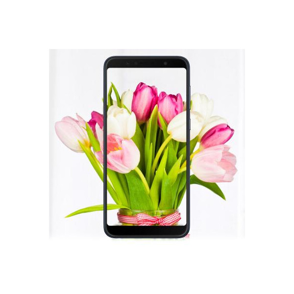 

Мобильный телефон ASUS ZenFone Max Pro (M1) ZB602KL 3/32 GB Black (ZB602KL-4A144WW)