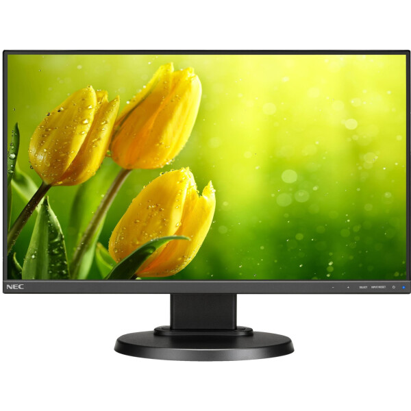 

21.5" NEC E221N Black