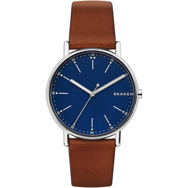 

Кварцевые часы Skagen