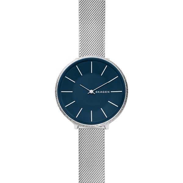 

Кварцевые часы Skagen