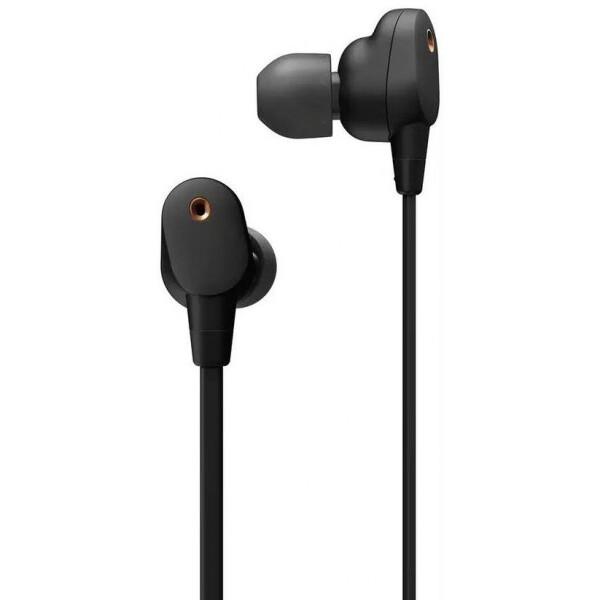 

SONY WI-1000XM2 Black