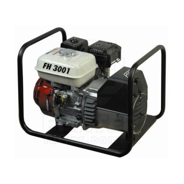 

Генератор бензиновий Fogo FH 3001