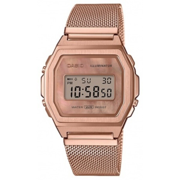 

Часы CASIO A1000MPG-9EF