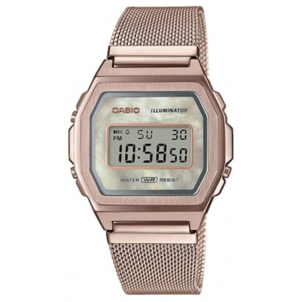 

Часы CASIO A1000MCG-9EF
