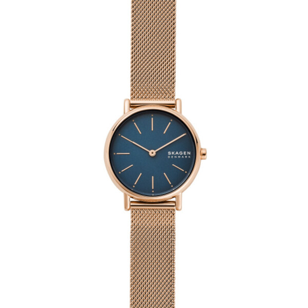 

Часы SKAGEN SKW2837
