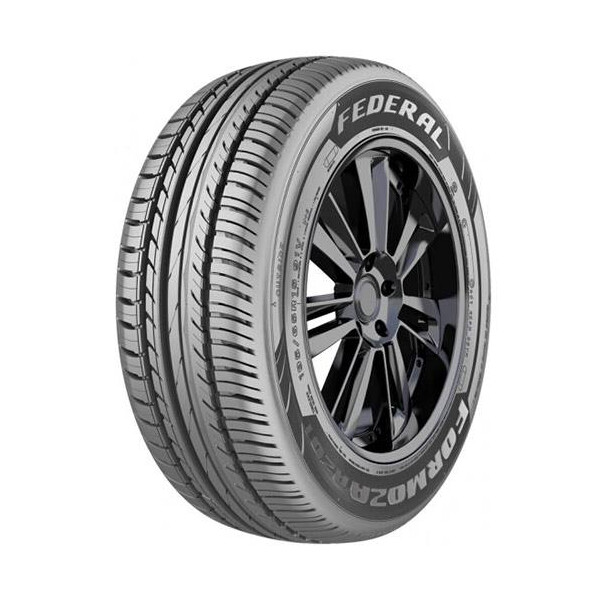 

Federal Formoza AZ01 225/55 R16 99W