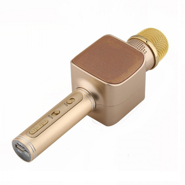 

Беспроводной Bluetooth микрофон для караоке RIAS YS-68 Gold (2_006159)
