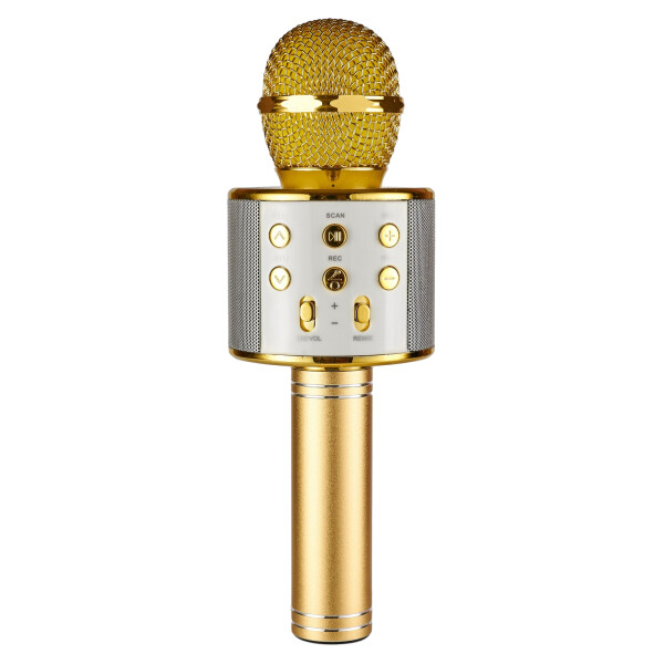 

Караоке микрофон KTV WS 858 Золотой (BS1390)