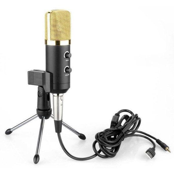 Акція на Конденсаторный микрофон ZEEPIN MK-F100TL BLACK GOLD від Allo UA