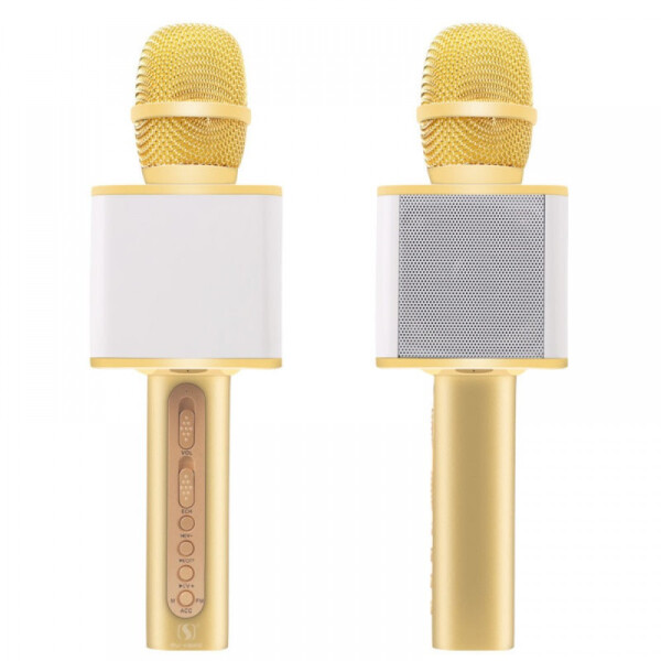

YS-10A MAGIC KARAOKE GOLD