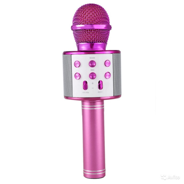 Акція на Беспроводный Bluetooth караоке микрофон с изменением голоса WSTER WS-858 Золотой Original Gold від Allo UA
