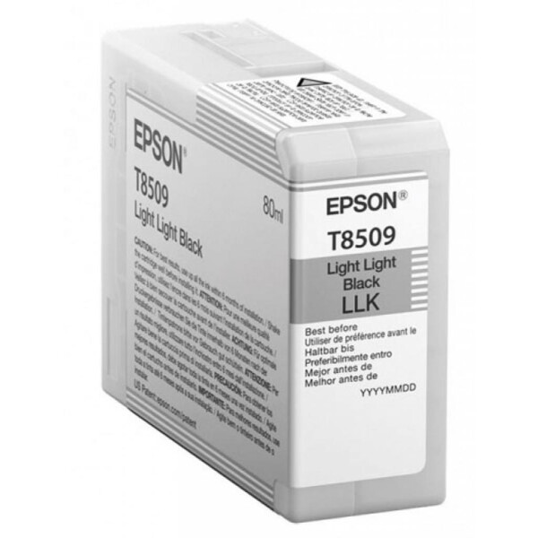 

Картридж EPSON P800 UltraChrome HD 80ml LLBlack (C13T850900)