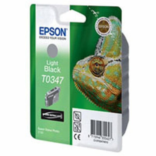 

St Photo 2100, gray EPSON (C13T03474010)