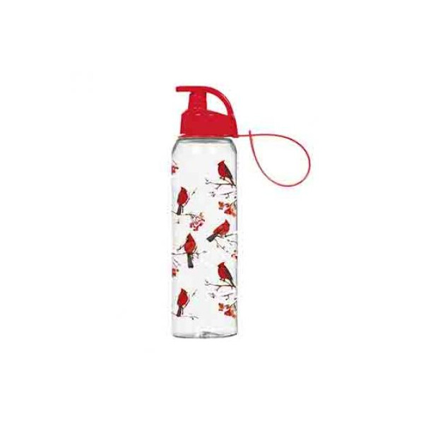 

Бутылка для воды Herevin Red Bird 0.75 л (161405-330)