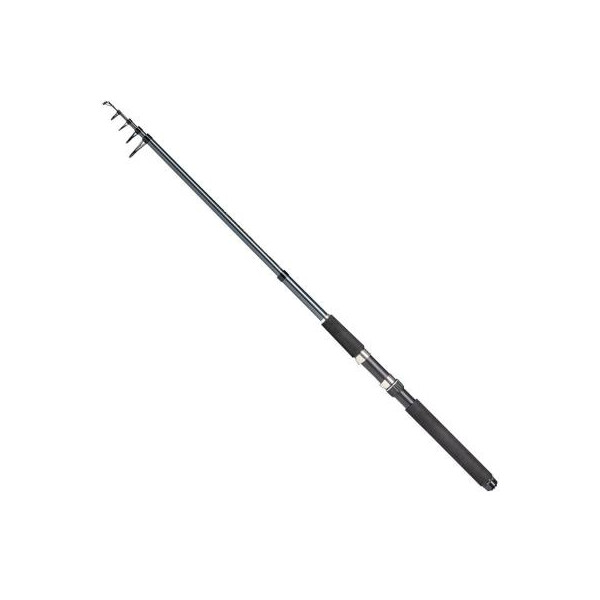 

Удилище DAM телескоп Camaro Tele Spin 30 2.40м 10-30гр. (55896)