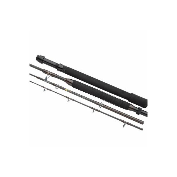 

Удилище Shimano Exage AX Stand-up 1.98m 20-30lb (TEXAXBT2030)