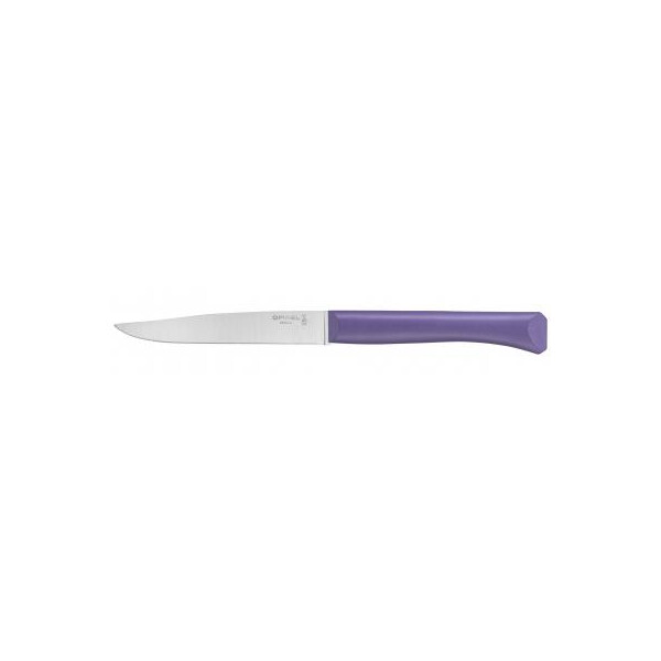 

Кухонный нож Opinel Bon Appetit Plus 11 см Turquoise (002190)