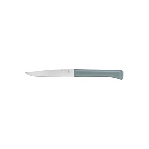 

Кухонный нож Opinel Bon Appetit Plus 11 см Mint (002195)