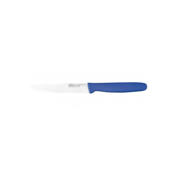 

Кухонный нож Due Cigni Steak Knife Serrated 11 см Blue (714/11DB)