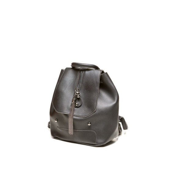 

Рюкзак Casa Familia S10-2032-01 black