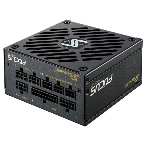 

Seasonic 450W Focus Gold (SSR-450SGX)