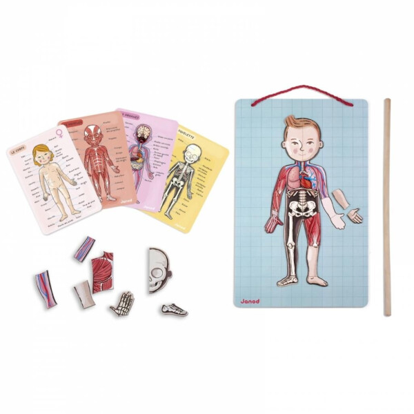 

Игровой набор Janod Тело человека (J05491)