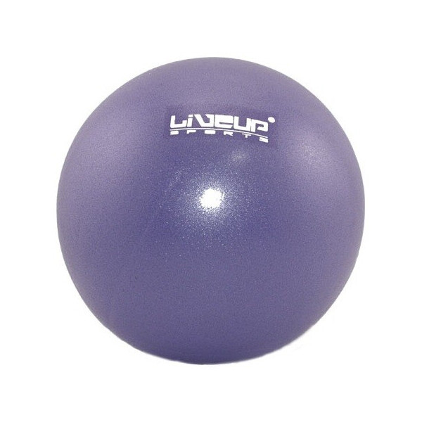 

Гимнастический мяч LiveUp Mini 20 см Purple (LS3225-20)