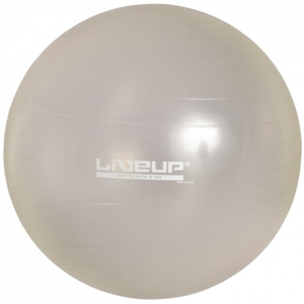 

Мяч для фитнеса LiveUp Anti-Burst 75 см Gray (LS3222-75g)