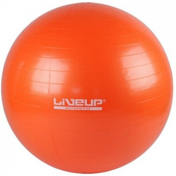 

Фитбол LiveUp Gym Ball 55 см Orange (LS3221-55o)