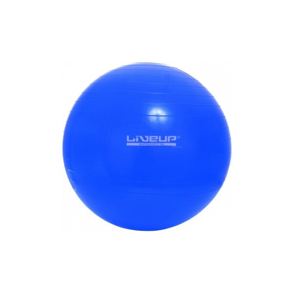 

Фитбол LiveUp Gym Ball 65 см Blue (LS3221-65b)