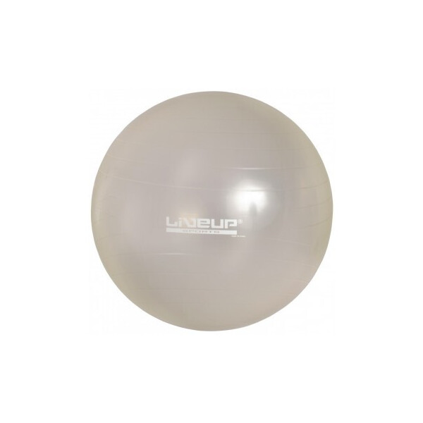 

Фитбол LiveUp Gym Ball 75 см Gray (LS3221-75g)
