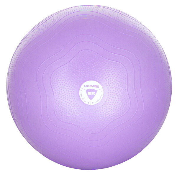 

Фитбол укрепленный LivePro Anti-burst Core-fit Exercise Ball 55 см (LP8201-55)