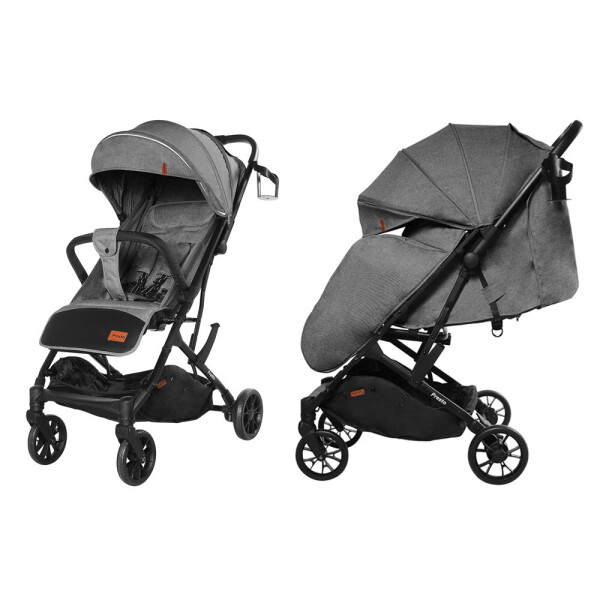 

Коляска прогулочная CARRELLO Presto CRL-9002 Harbor Grey +дождевик