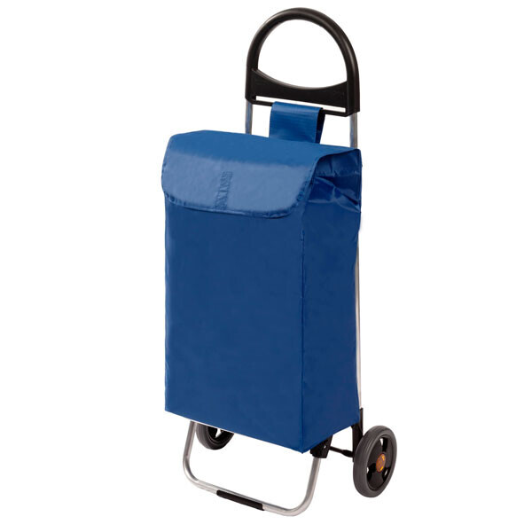 

Дорожная сумка Aurora Ercole 50 Blue