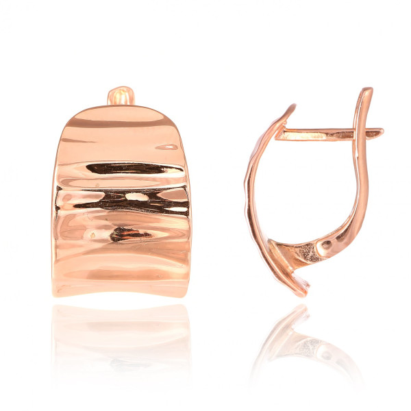 

Серьги из серебра (827269)